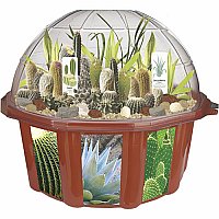 Desert Biodome Terrarium