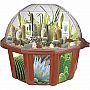 Desert Biodome Terrarium